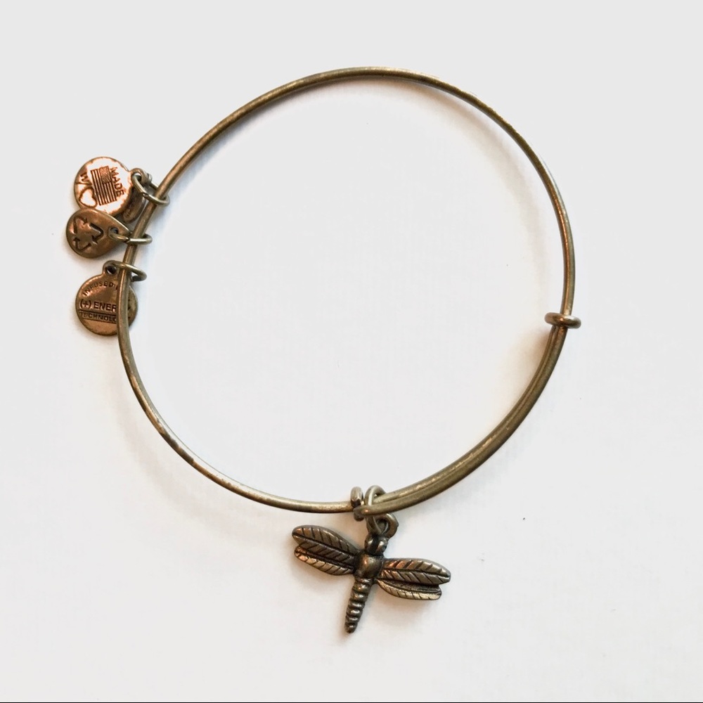 Alex and Ani Dragonfly Charm Bracelet